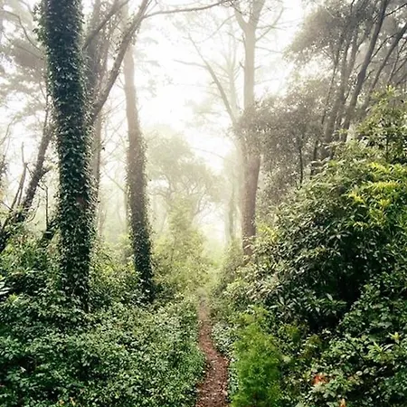 Sintra Hills Colares