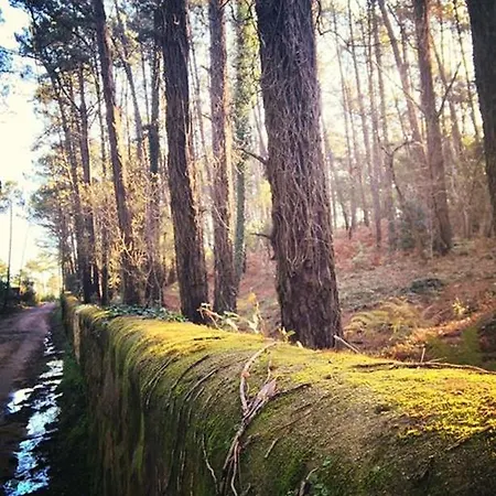 Sintra Hills