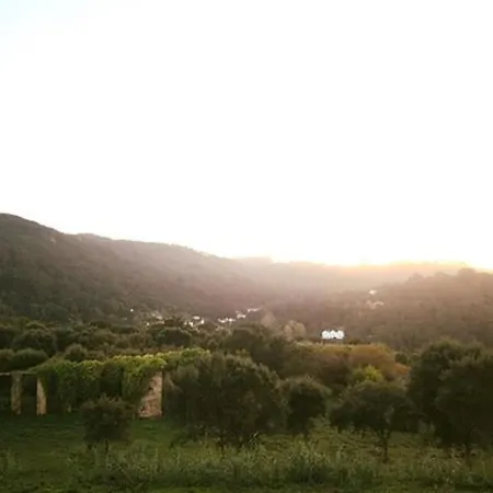Apartamento Sintra Hills